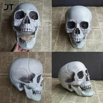 Statuete, Sculpturi Decoratiuni De Halloween Artificială Cap De Craniu Model De Plastic Osul Craniului De Groază Înfricoșător Schelet Bara De Partid Ornament