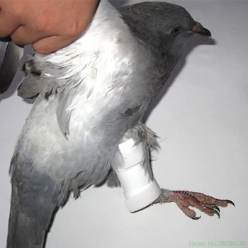 2019 Pasăre Nouă Inele De Picior Benzi De Porumbel Papagali Picior Picior Protector Pui Bantam Păsări De Curte