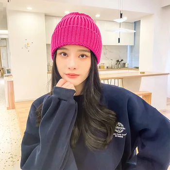 Coreeană Pălărie Tricotate Femei Toamna Iarna Cald De Protecție Pentru Urechi Bombardier Pălărie Ins Culoare Solidă Două Student Căciulă De Lână, Căciuli Chelioși