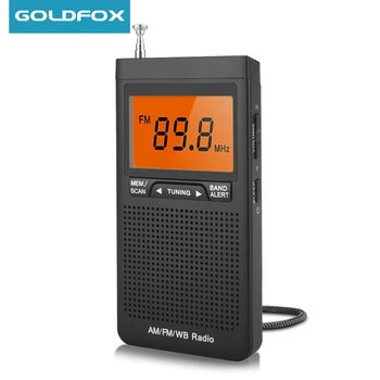 AM FM NOAA Radio Portabil Vreme de Radio Mini de Buzunar de Radio Recepție Excelentă Ecran LCD Mare Digtail Radio cu Ceas Deșteptător