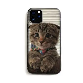 Pisica drăguț prieteni Telefon Caz pentru iPhone 11 12 13Pro mini pro XS MAX 8 7 6 6S Plus X 5S SE 2020 XR